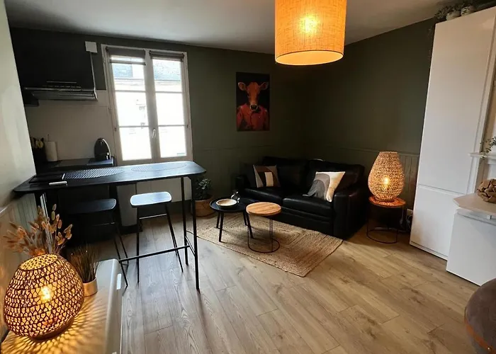 Διαμέρισμα Au Pied Du Vieux-mans *